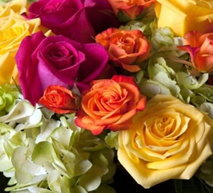 Radiant - vivid magentas, golden yellows, and fiery oranges, wrapped with airy greens