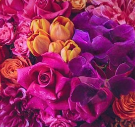 Bold, Vibrant and Fiery -fuchsia, tangerine and golden hues